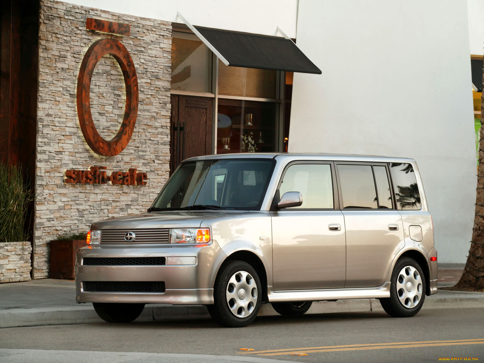, scion